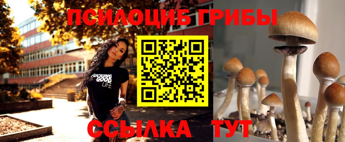 Галлюциногенные грибы мицелий Йошкар-Ола